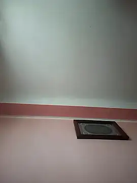 Combined Camp online show from January 9, 2026, 2:13 pm