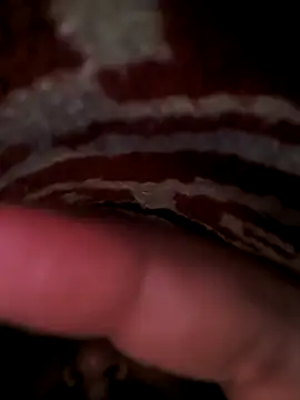 rajstrip12650 online show from March 3, 2025, 12:45 am