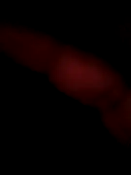 rajstrip12650 online show from February 25, 2025, 11:04 pm