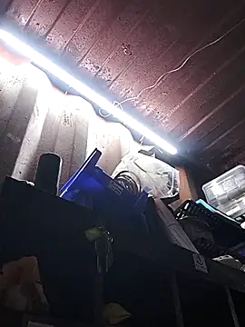 rajstrip12650 online show from December 18, 2025, 9:25 am