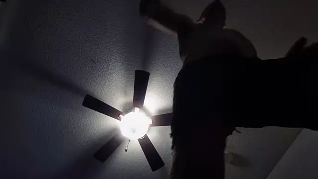 BDDuncanAbaddon online show from October 19, 2025, 4:21 pm