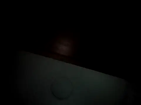 Snapshot of Linda_Gregory chatting on February 16, 2025, 4:31 am Linda Gregory online show from February 16, 2025, 4:31 am