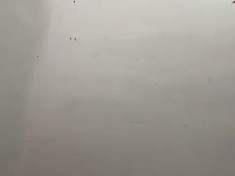 CALVINXXX online show from February 21, 2025, 9:43 pm