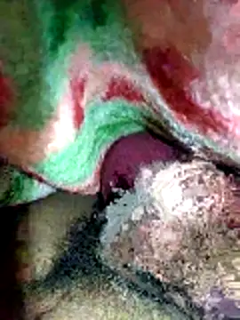 Village1997 online show from November 15, 2025, 6:45 pm