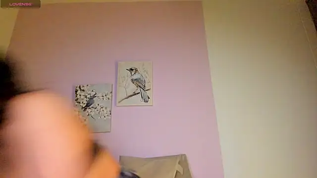 Mhia palmer online show from February 1, 2026, 11:19 am