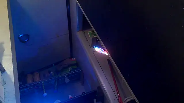 Bi curious86 online show from November 1, 2025, 10:03 pm