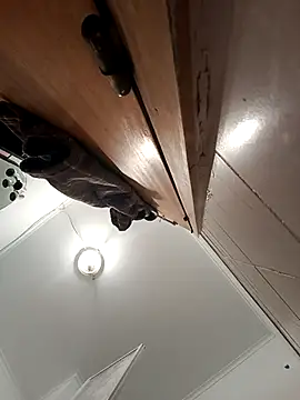 Snapshot of bruna_safadinhaa chatting on September 20, 2025, 11:59 am bruna safadinhaa online show from September 20, 2025, 11:59 am