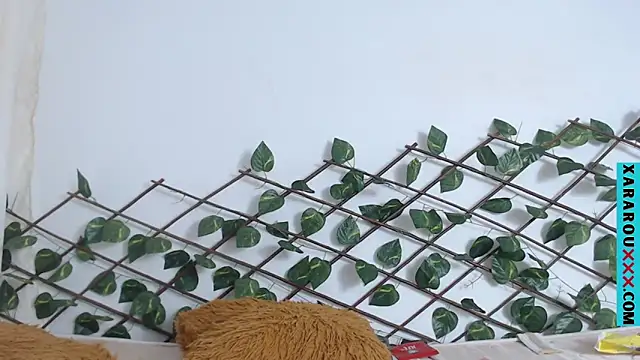 Latina BigBoobs online show from March 7, 2025, 11:05 pm