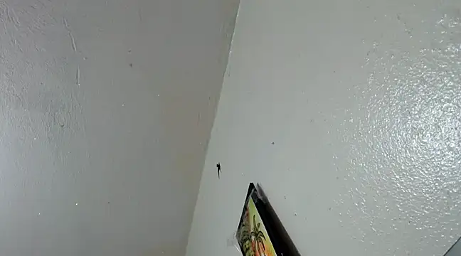 katery wok11 online show from March 21, 2025, 7:33 am