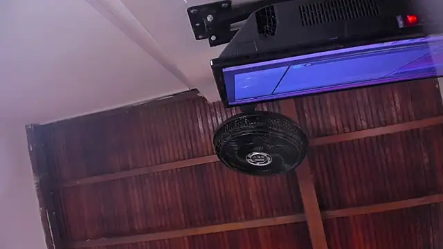 emily-fox online show from February 13, 2026, 11:10 am