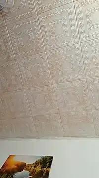 hornny1995 online show from January 11, 2025, 10:51 am