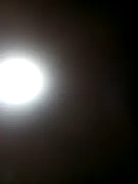 TrainedFinder5 online show from October 9, 2025, 3:18 am