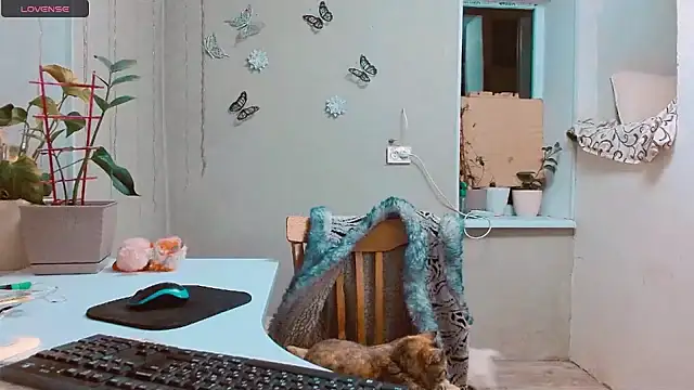 RosaJil online show from January 15, 2025, 7:44 pm