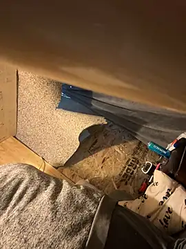 Snapshot of Followthepiper chatting on March 3, 2025, 8:54 pm Followthepiper online show from March 3, 2025, 8:54 pm