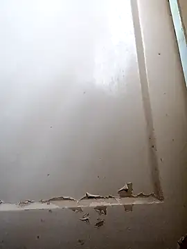 Rishimumbai hot online show from December 9, 2024, 6:12 am