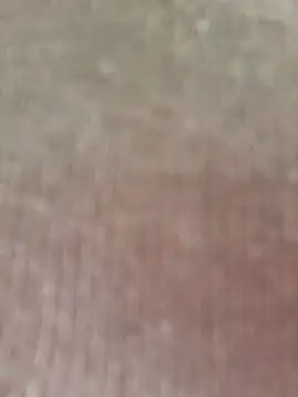 seherlatin online show from February 7, 2026, 2:47 pm