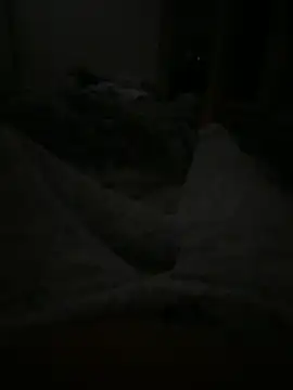 Snapshot of EleonoraMora86 chatting on April 5, 2026, 3:02 am EleonoraMora86 online show from April 5, 2026, 3:02 am