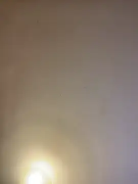 asianmama888 online show from February 24, 2026, 12:44 am