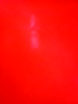 Cameron puppy online show from December 1, 2025, 7:26 pm