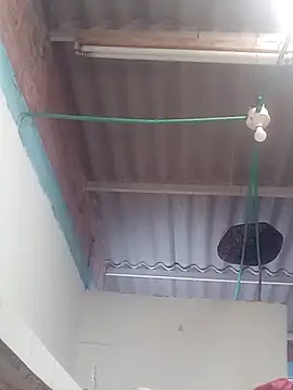 mailo bronw online show from March 30, 2026, 3:13 pm