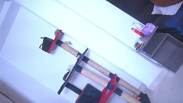 argiee taylorxs2 online show from March 4, 2026, 11:34 pm