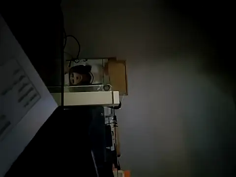 StiveMartin online show from November 17, 2025, 2:26 am