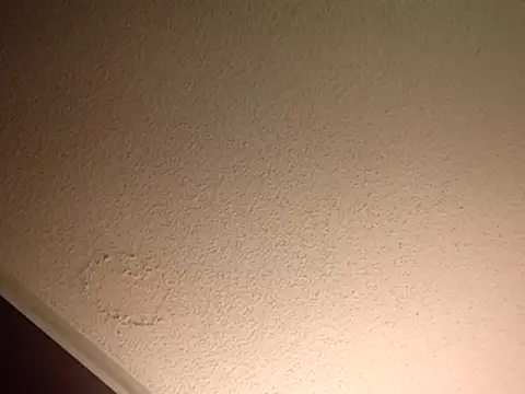 Treemandude online show from November 10, 2025, 11:43 pm