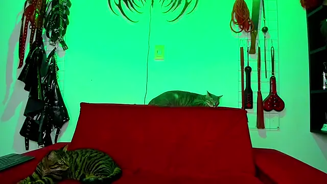 Snapshot of irregular_fetish_ chatting on February 26, 2026, 7:47 pm irregular fetish online show from February 26, 2026, 7:47 pm