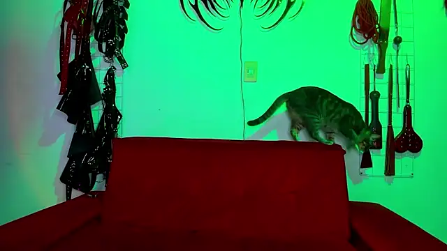 Snapshot of irregular_fetish_ chatting on February 19, 2026, 7:00 pm irregular fetish online show from February 19, 2026, 7:00 pm