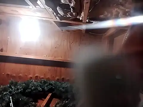 Babyboyy803 online show from November 9, 2025, 9:24 am