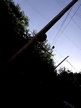 hecwil8 online show from January 22, 2025, 9:10 pm