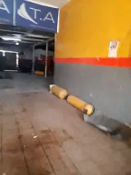 hecwil8 online show from September 10, 2025, 7:02 pm