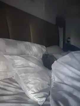 CeceilaMoon online show from April 21, 2026, 1:07 pm