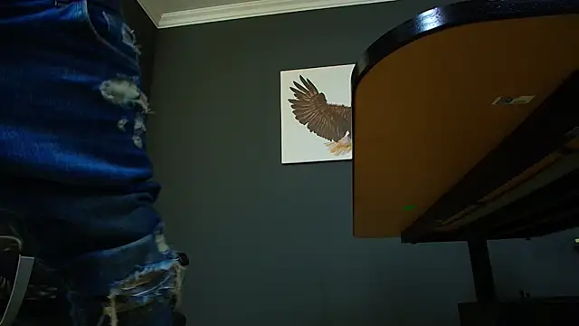 Snapshot of JoshKnights chatting on March 15, 2025, 12:45 pm JoshKnights online show from March 15, 2025, 12:45 pm