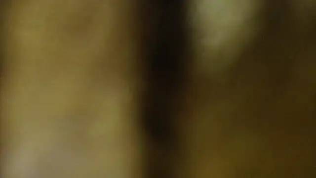 Sophia your online show from March 27, 2026, 6:22 am