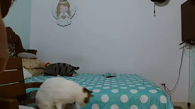 Snapshot of jazzhot13 chatting on January 26, 2025, 11:18 pm jazzhot13 online show from January 26, 2025, 11:18 pm