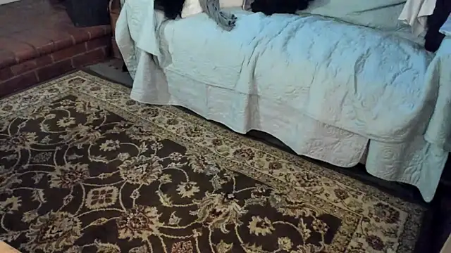 Dark Asteroid online show from December 21, 2025, 3:03 pm