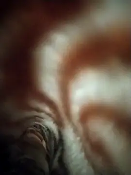 FantasticWonders9 online show from April 12, 2026, 10:24 pm