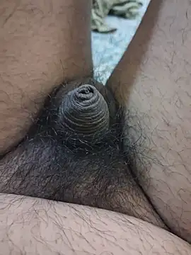 dirtybearr online show from February 5, 2026, 5:42 pm