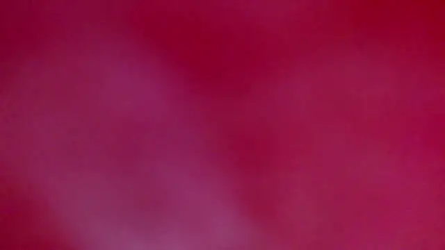 ray and 666 online show from January 18, 2026, 7:45 am