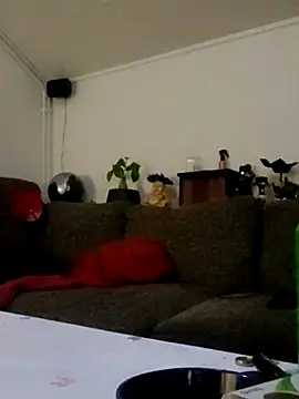 eltoulou online show from March 12, 2025, 1:25 am