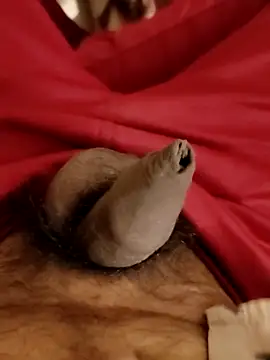 Ashish02345 online show from January 25, 2025, 8:31 pm