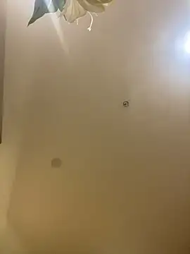 MEOW MEO online show from December 20, 2025, 4:10 pm