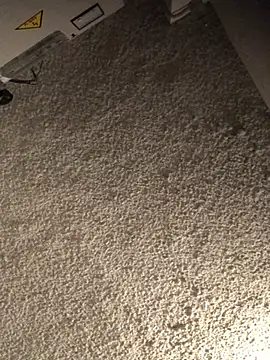 Josele1981 online show from April 23, 2026, 9:38 pm