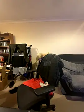 LondonTeffy online show from November 17, 2025, 9:41 pm