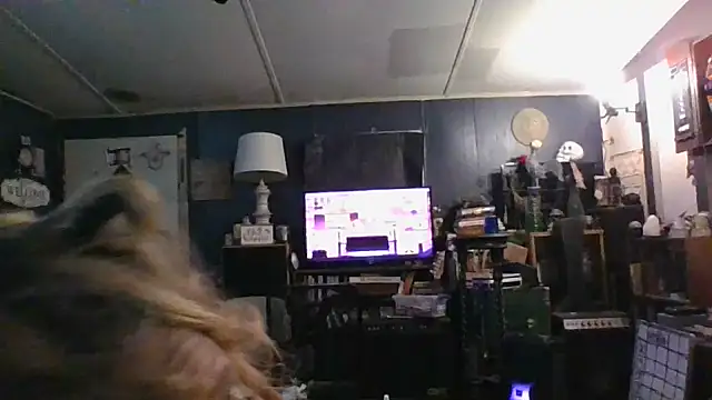 Snapshot of stormynight1 chatting on October 12, 2025, 8:59 am stormynight1 online show from October 12, 2025, 8:59 am