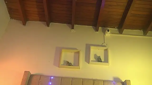 patty m online show from December 15, 2025, 12:00 pm