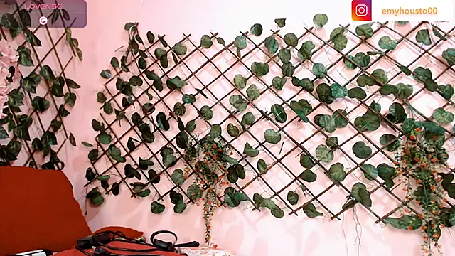 emyhouston00 online show from March 1, 2025, 10:02 am