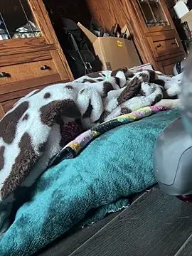 Snapshot of SexyB214 chatting on March 7, 2025, 12:15 am SexyB214 online show from March 7, 2025, 12:15 am