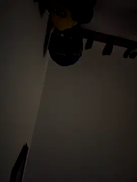 Kylie2211 online show from December 15, 2025, 11:49 am